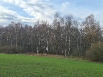 Žemės sklypas — Kėdainių r. sav.