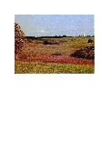 Žemės sklypas — Prienų r. sav.