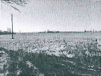 Žemės sklypas — Marijampolės sav.