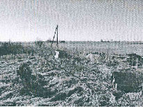 Žemės sklypas — Marijampolės sav.