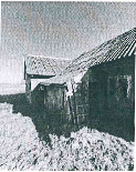 Žemės sklypas — Marijampolės sav.