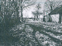Žemės sklypas — Marijampolės sav.