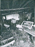 Žemės sklypas — Marijampolės sav.
