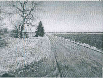 Žemės sklypas — Marijampolės sav.
