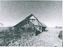 Žemės sklypas — Marijampolės sav.