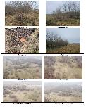 Žemės sklypas — Klaipėdos r. sav.