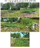 Gyvenamasis namas — Širvintų r. sav.