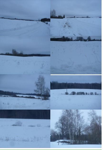 Žemės sklypas — Molėtų r. sav.