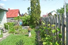 Žemės sklypas — Mažeikių r. sav.