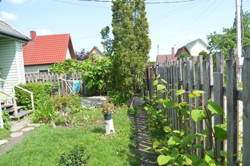 Žemės sklypas — Mažeikių r. sav.