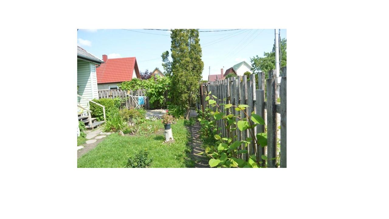 Žemės sklypas — Mažeikių r. sav.