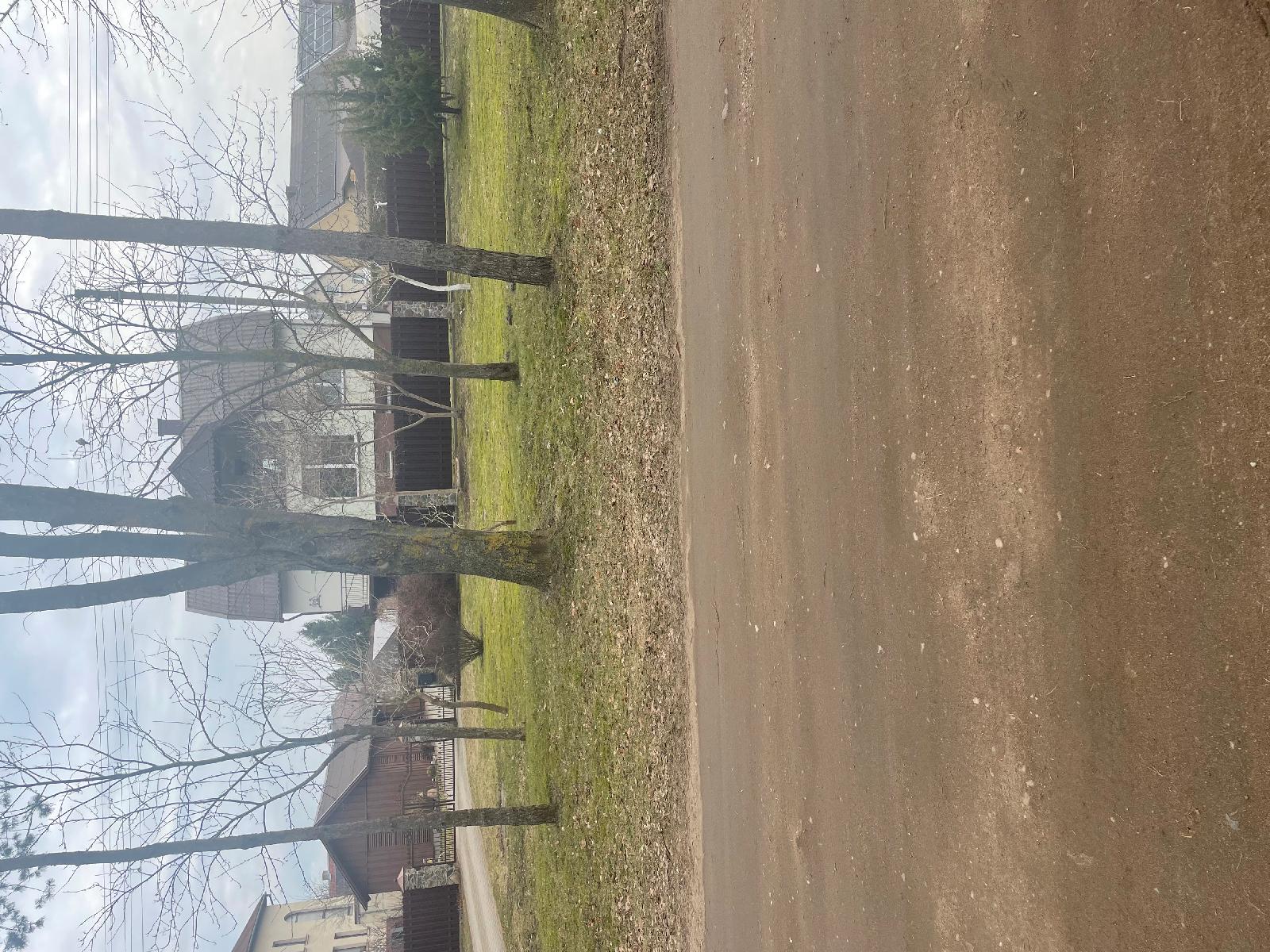 Žemės sklypas — Šilutės r. sav.