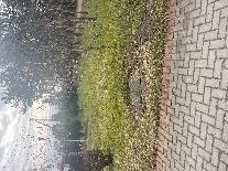 Žemės sklypas — Šilutės r. sav.