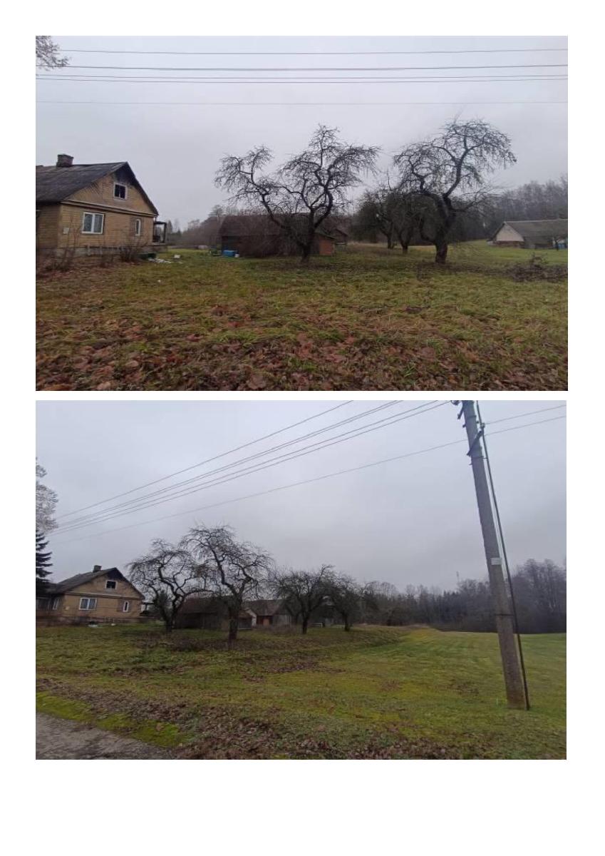 Žemės sklypas — Zarasų r. sav.