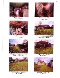 Žemės sklypas — Vilkaviškio r. sav.