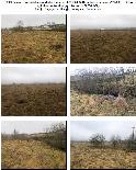 Žemės sklypas — Trakų r. sav.
