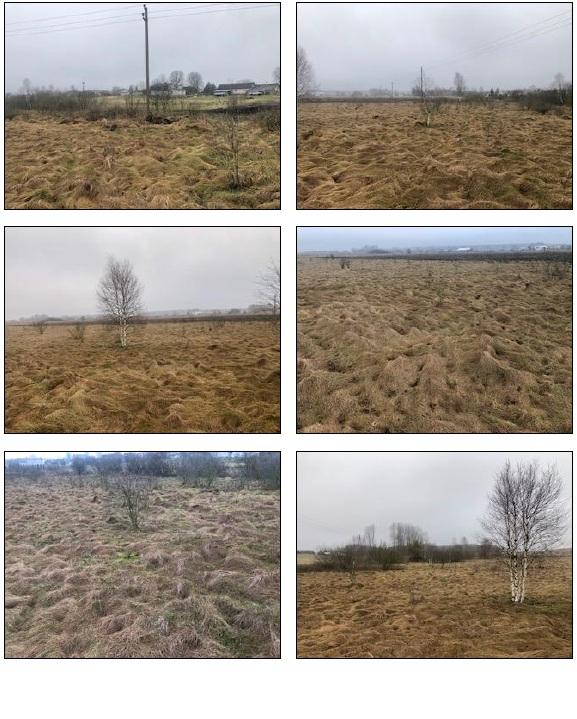 Žemės sklypas — Trakų r. sav.