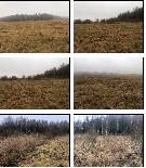 Žemės sklypas — Trakų r. sav.