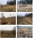 Žemės sklypas — Trakų r. sav.
