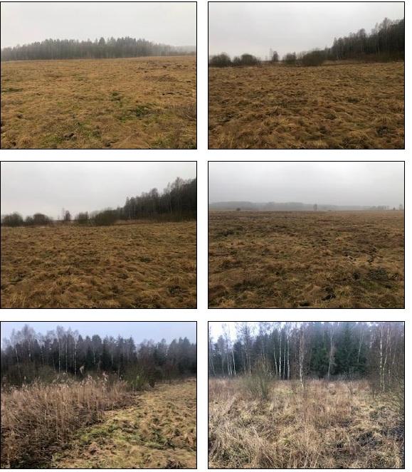 Žemės sklypas — Trakų r. sav.