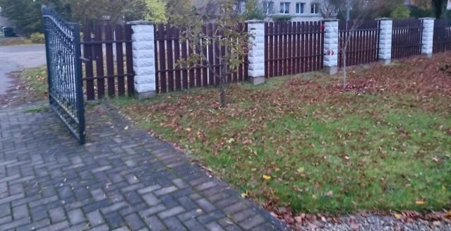 Žemės sklypas — Kėdainių r. sav.