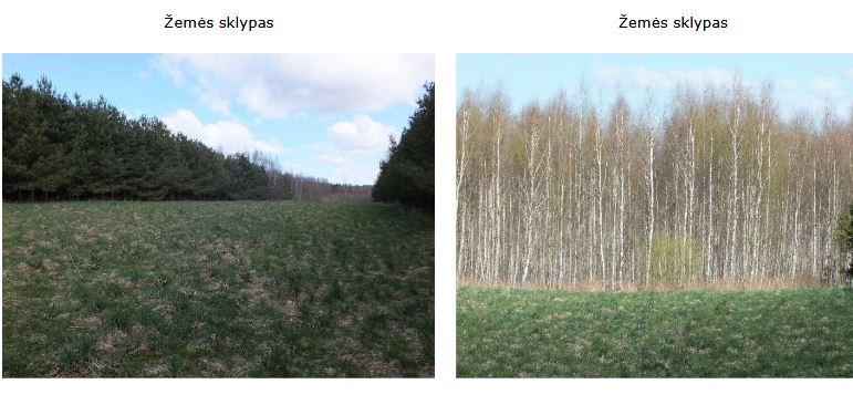 Žemės sklypas — Telšių r. sav.