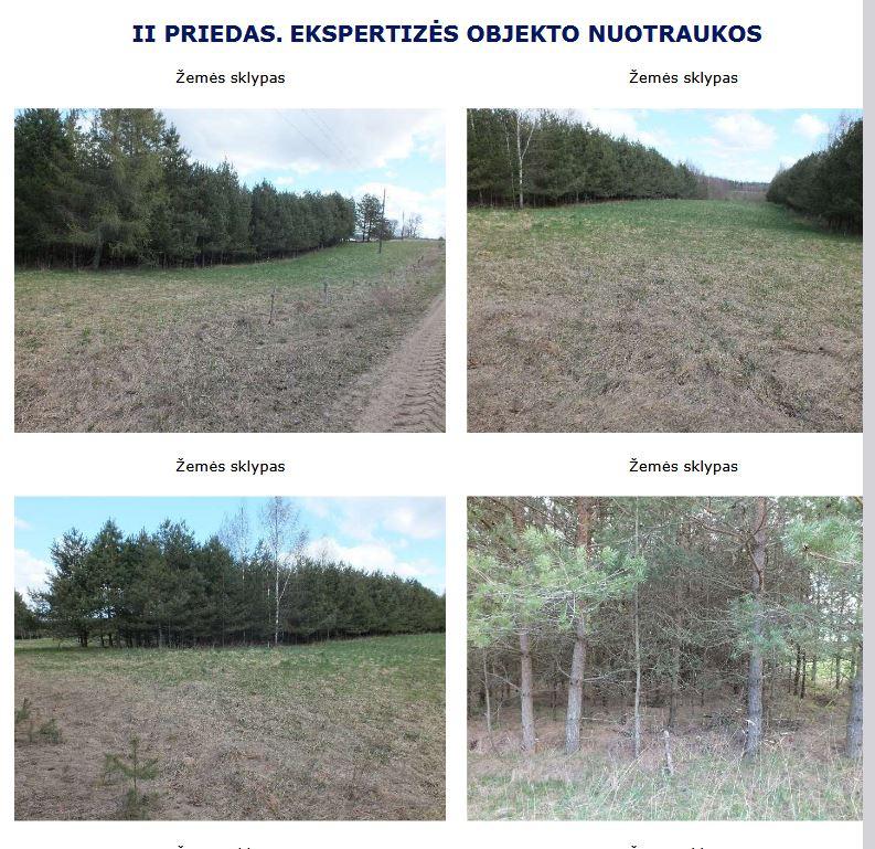 Žemės sklypas — Telšių r. sav.