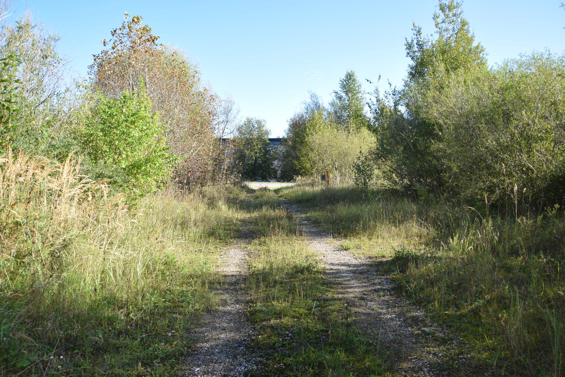 Žemės sklypas — Anykščių r. sav.