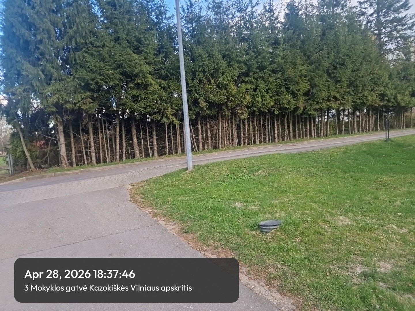Žemės sklypas — Elektrėnų sav.