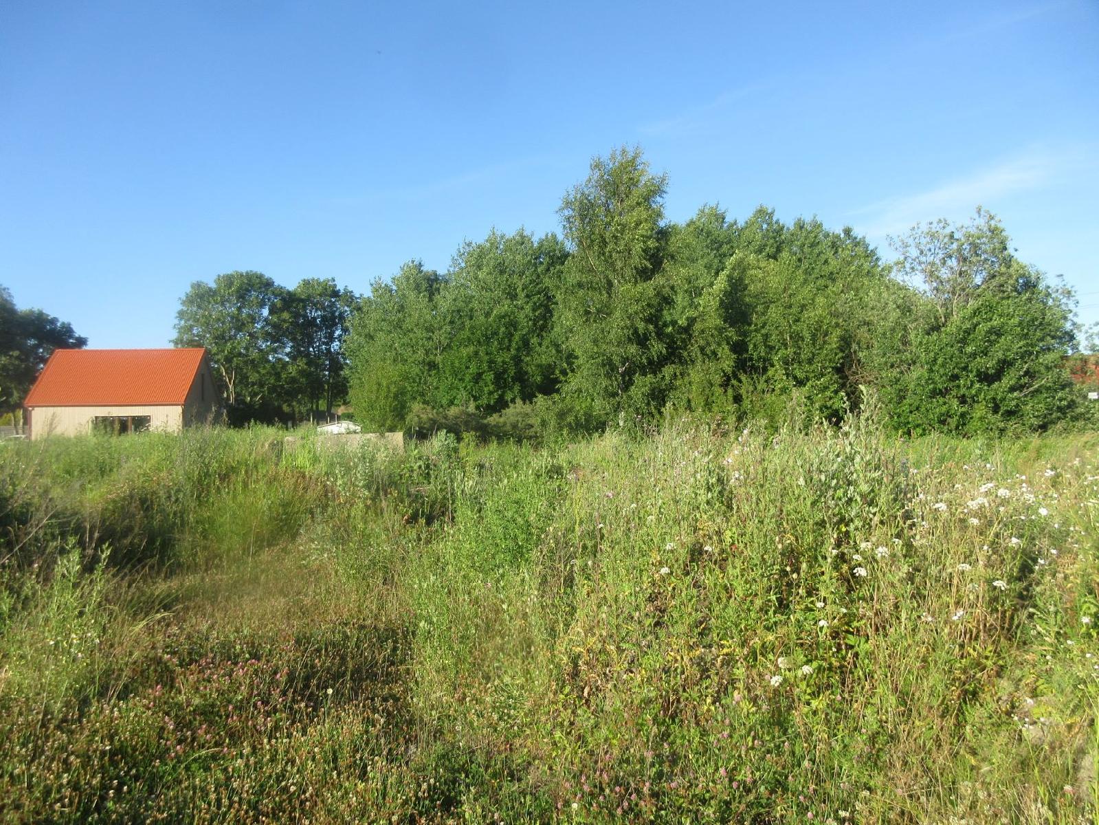 Žemės sklypas — Klaipėdos r. sav.