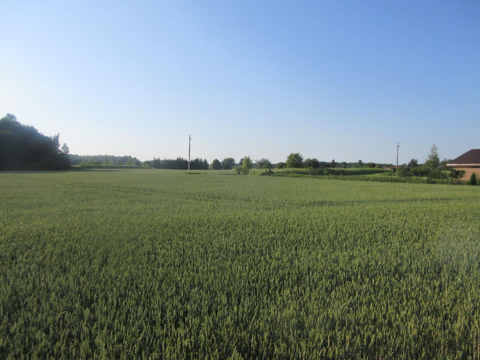 Žemės sklypas — Klaipėdos r. sav.