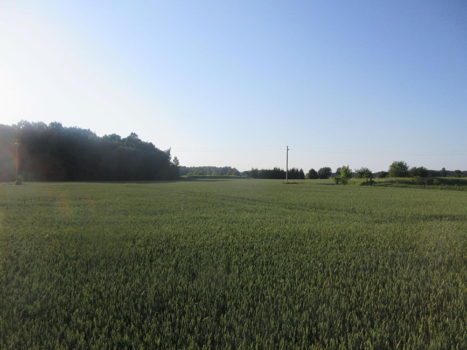 Žemės sklypas — Klaipėdos r. sav.