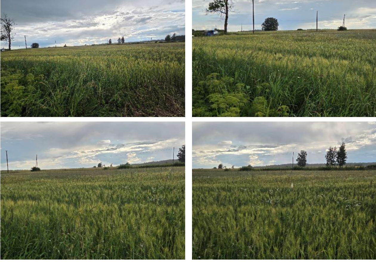 Žemės sklypas — Biržų r. sav.