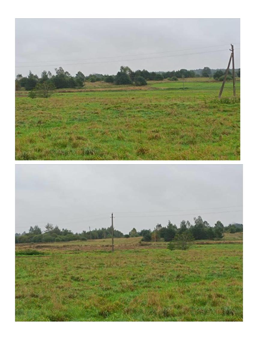 Žemės sklypas — Švenčionių r. sav.
