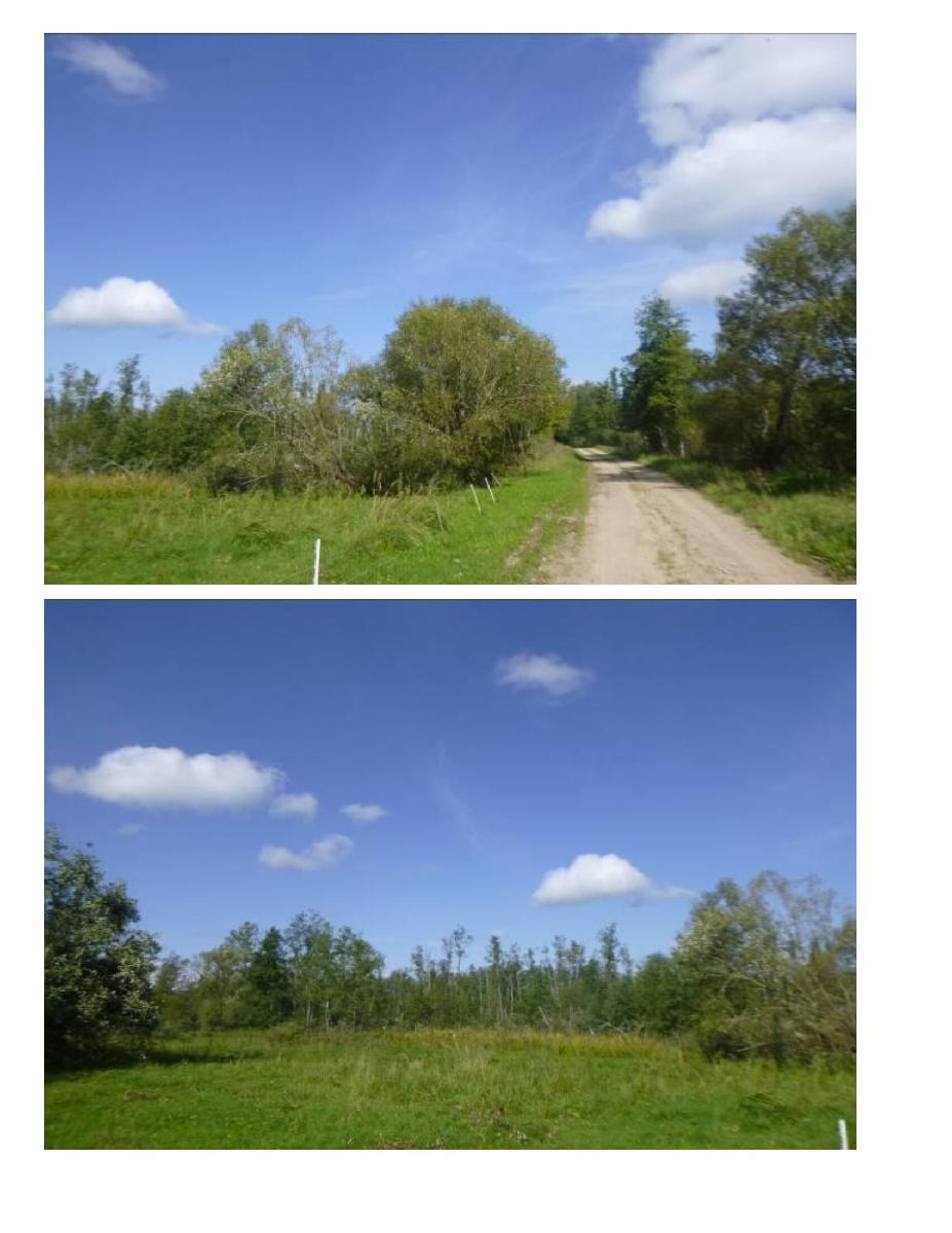 Žemės sklypas — Zarasų r. sav.