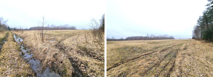 Žemės sklypas — Klaipėdos r. sav.