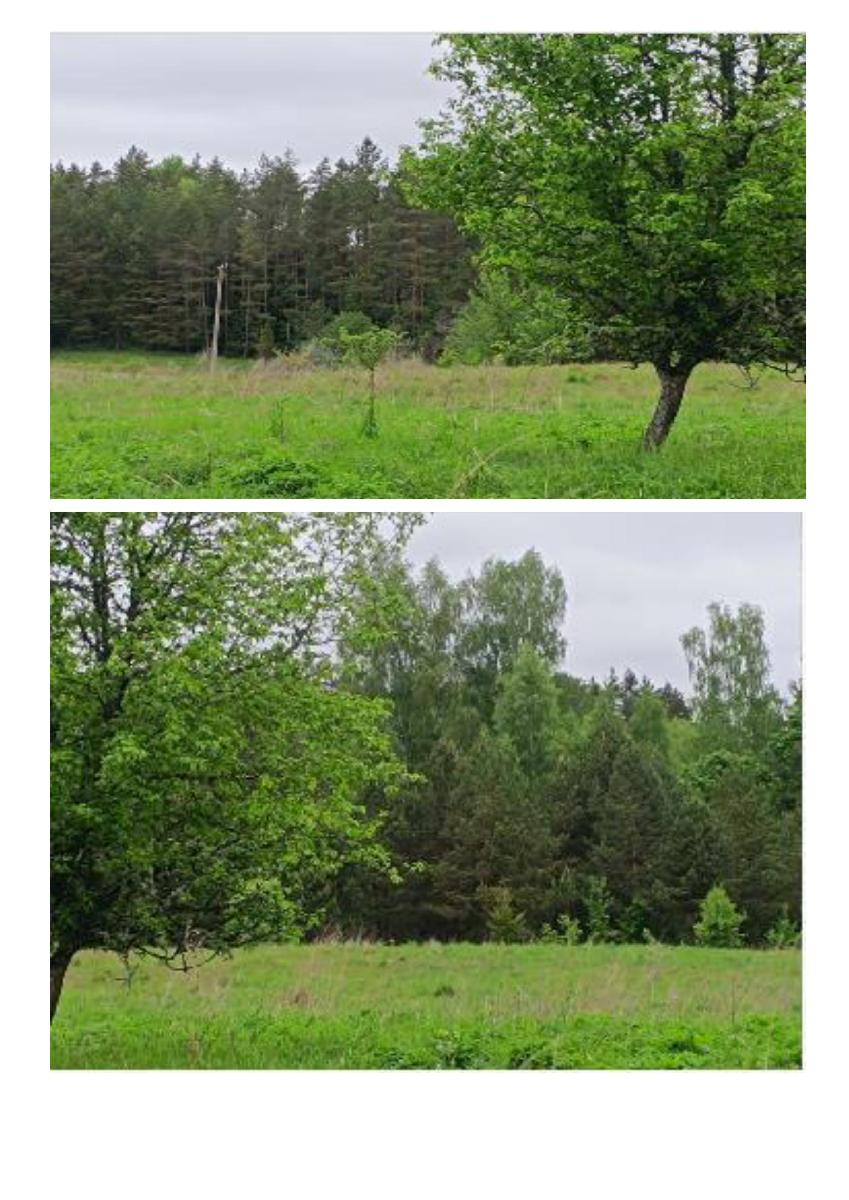 Žemės sklypas — Utenos r. sav.