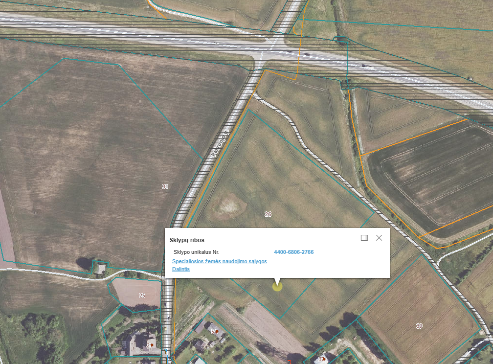Nuomojamas turtas: Žemės sklypas — Radviliškio r. sav.