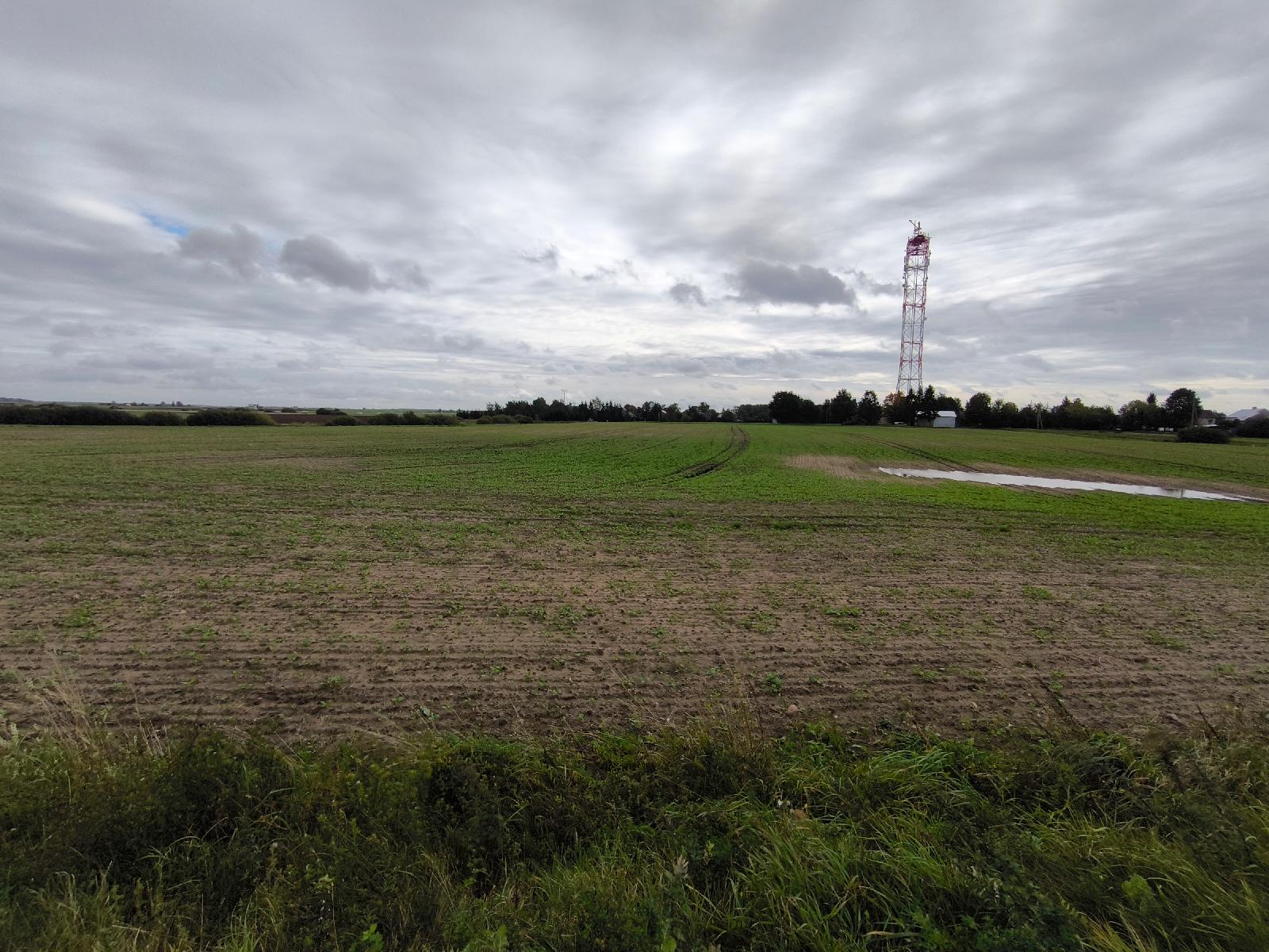 Nuomojamas turtas: Žemės sklypas — Radviliškio r. sav.