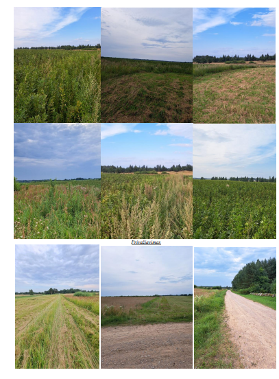Žemės sklypas — Širvintų r. sav.