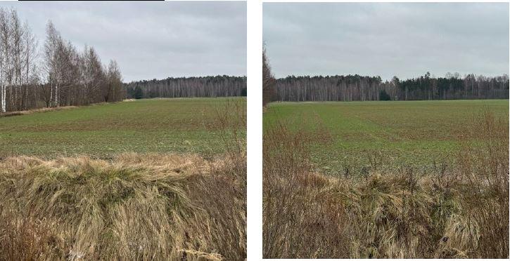 Žemės sklypas — Jurbarko r. sav.