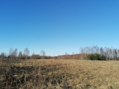 Žemės sklypas — Šilutės r. sav.