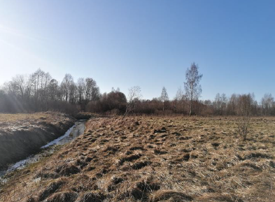 Žemės sklypas — Šilutės r. sav.