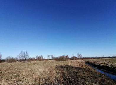 Žemės sklypas — Šilutės r. sav.