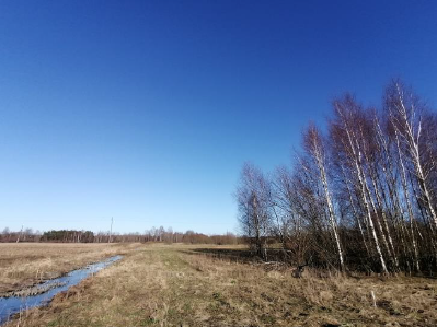 Žemės sklypas — Šilutės r. sav.
