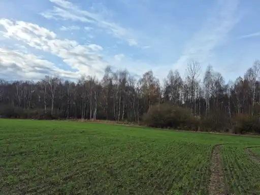Žemės sklypas — Kėdainių r. sav.