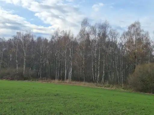 Žemės sklypas — Kėdainių r. sav.
