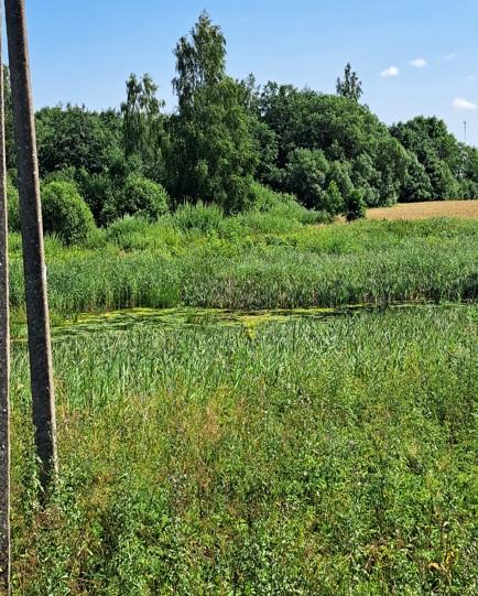 Žemės sklypas — Radviliškio r. sav.