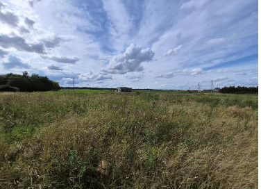 Žemės sklypas — Kauno r. sav.