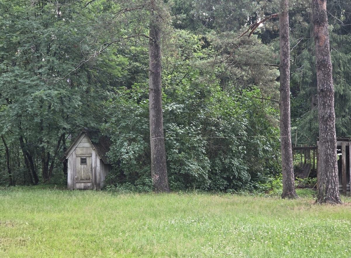 Žemės sklypas — Anykščių r. sav.